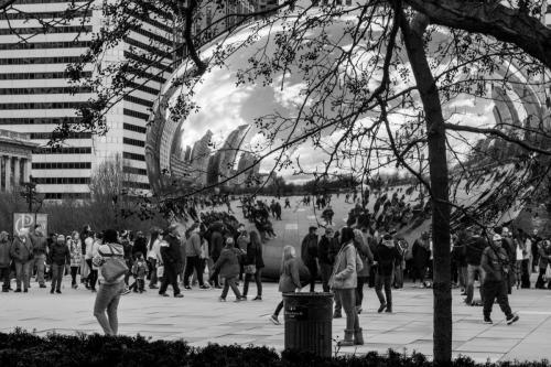 Chicago: Seen in the Bean